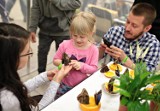 Kraków. Animal Show dla miłośników zwierząt już w weekend. Będą psy, koty, kraina motyli, a nawet... tropikalne ryby