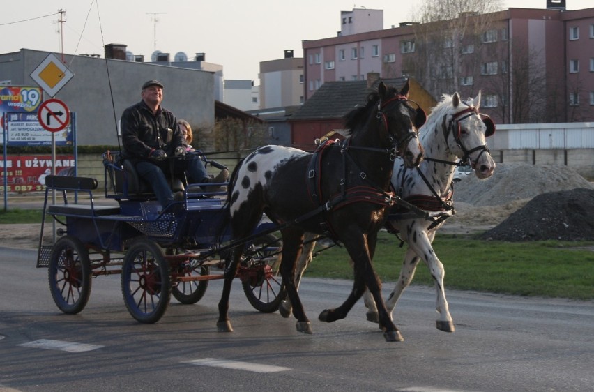 Mistrzostwa Polski Amatorów w Powożeniu