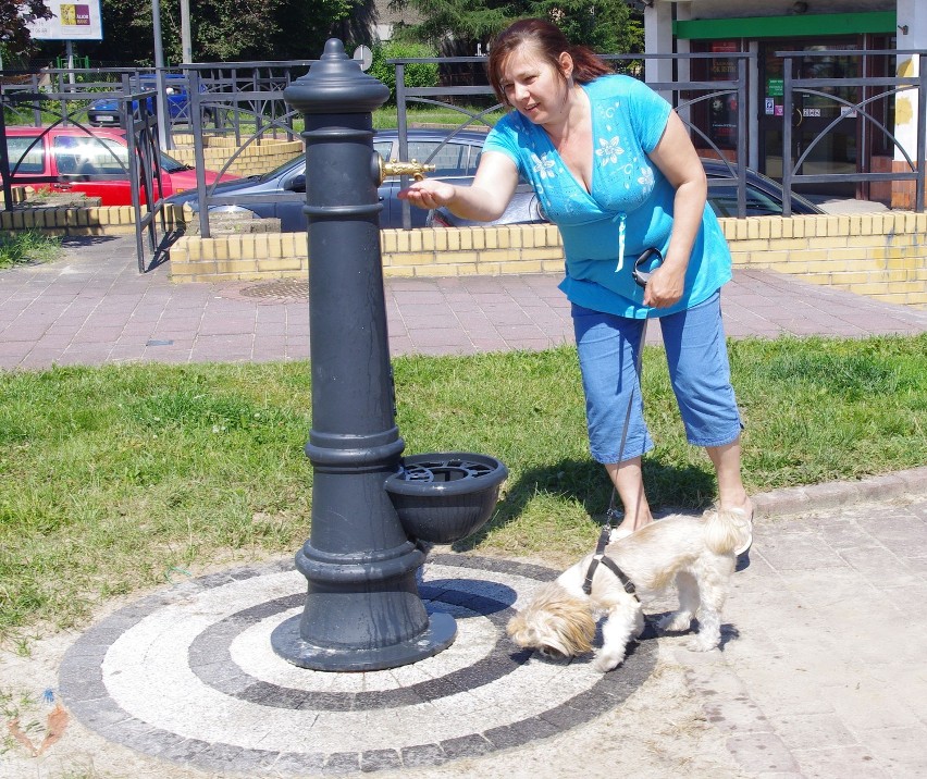 Hydrant ustawiono przy urzędzie miasta i gminy