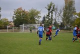 27 sierpnia trwają regularne treningi piłkarskich ekip orlików i młodzików Sokoła Radomin