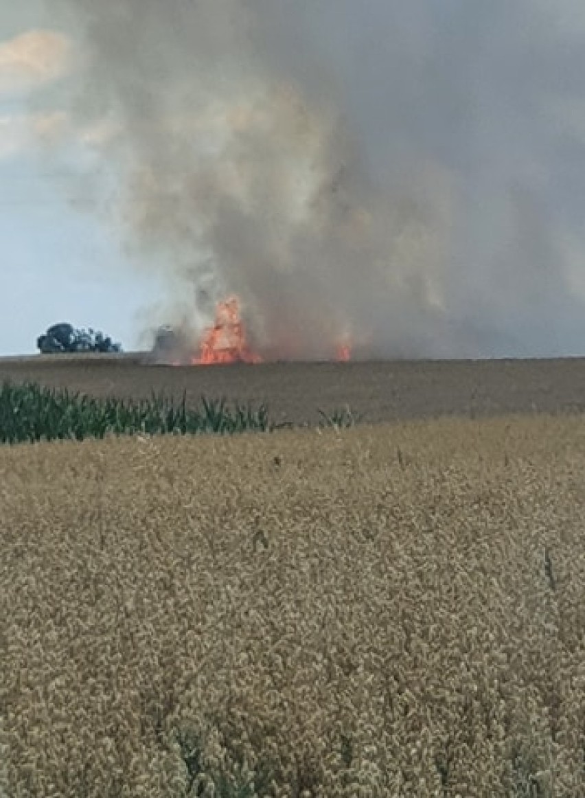 Pożar w Sznyfinie