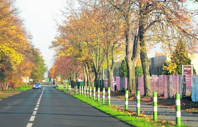 Nieoświetlony kawałek ścieżki niebezpieczny dla rowerzystów.  Lampy jednak mają się na niej pojawić