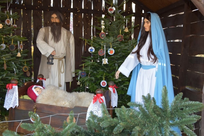 Kociewska Szopka Bożonarodzeniowa została otwarta przed Urzędem Miejskim w Tczewie [ZDJĘCIA]