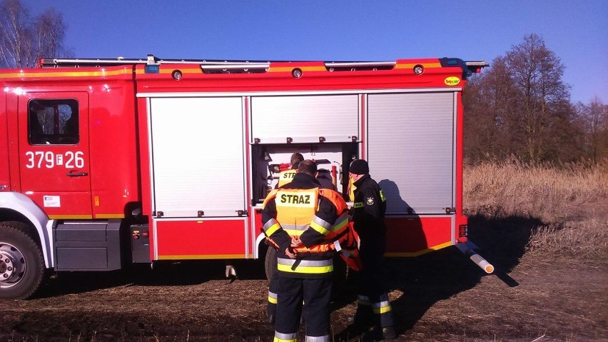 W akcji uczestniczyli m.in. strażacy.