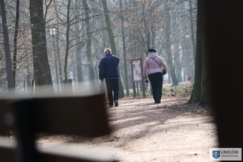 Odnowiony zabytkowy Park Zamkowy w Uniejowie zachęca do spacerów (zdjęcia)