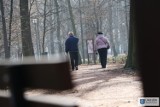 Odnowiony zabytkowy Park Zamkowy w Uniejowie zachęca do spacerów (zdjęcia)