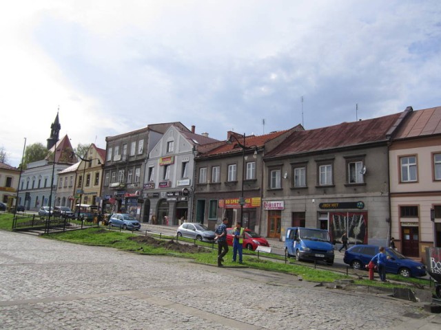 Na miejscu starych drzew zostaną zasadzone nowe