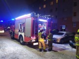 Pożar w Nowym Dworze Gdańskim. Służby prowadzą postępowanie w tej sprawie