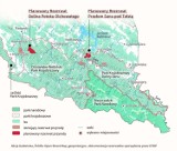 W Bieszczadach powstaną nowe rezerwaty? RDOŚ nie mówi jeszcze „nie”