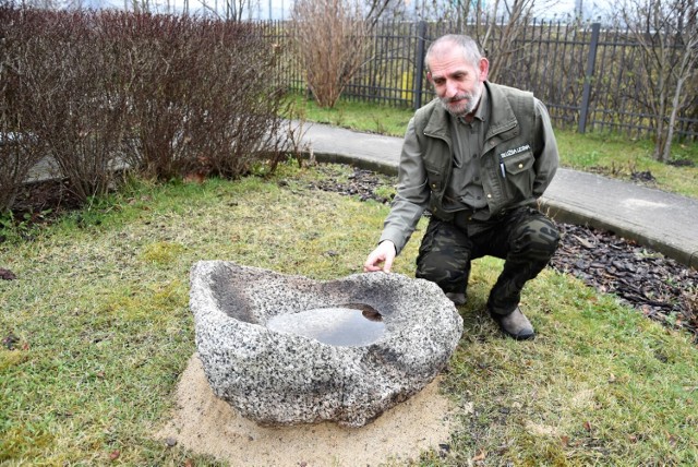 Tadeusz Lewandowski, nadleśniczy Nadleśnictwa Sławno mówi, że żarno należy datować na czasy neolityczne lub wczesnego średniowiecza. Dlaczego? Bo później żarna były już kołowe.