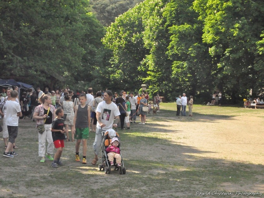 Piknik Przyjaciół Schroniska dla Bezdomnych Zwierząt na Barbarce [Zdjęcia]