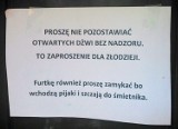 Najczęstsze błędy językowe Polaków. Jakie błędy językowe popełniamy?