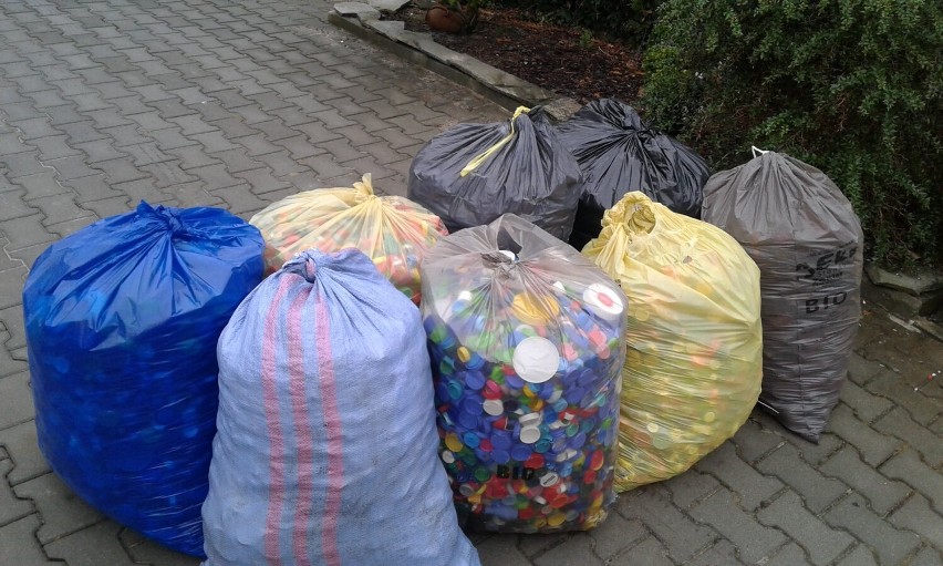 Gmina Malbork. Nakrętki zbierane przez mieszkańców pomagają w rehabilitacji Weroniki. Akcja znów się udała