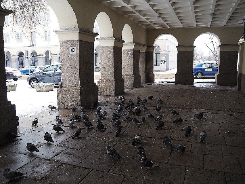 Stary Rynek w Łodzi - teraz i po rewitalizacji.