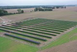 Gmina Malechowo: Planują budowę potężnej farmy fotowoltaicznej 