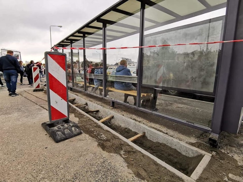 W Kaliszu przybywa zielonych przystanków. Zobacz, gdzie pojawią się kolejne