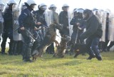 Sieraków. Policyjni jeźdźcy na koniach z całej Polski oraz policjanci z psami doskonalili swoje umiejętności w Sierakowie