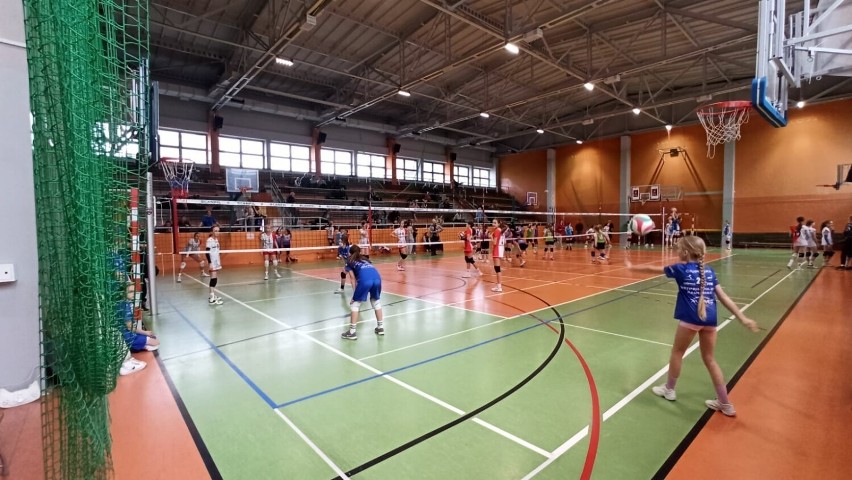 Młode siatkarki Volley Radomsko zadebiutowały w turnieju...