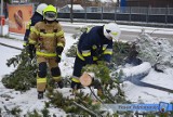Wichura i burza śnieżna nad Bełchatowem. Połamane drzewa, pozrywane dachy, brak prądu