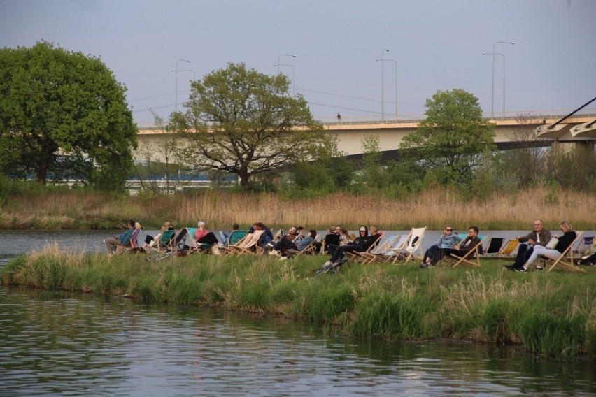 Jedna z największych wysp we Wrocławiu, a najprawdopodobniej...