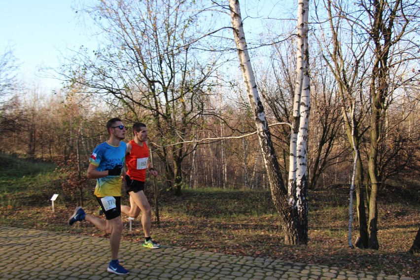 Botaniczna Piątka w Mikołowie 2018 - druga fala biegaczy