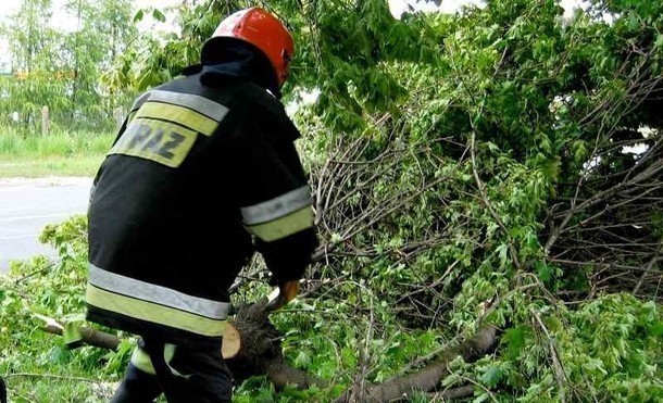 Strażacy kilka razy byli wzywani do usuwania połamanych drzew