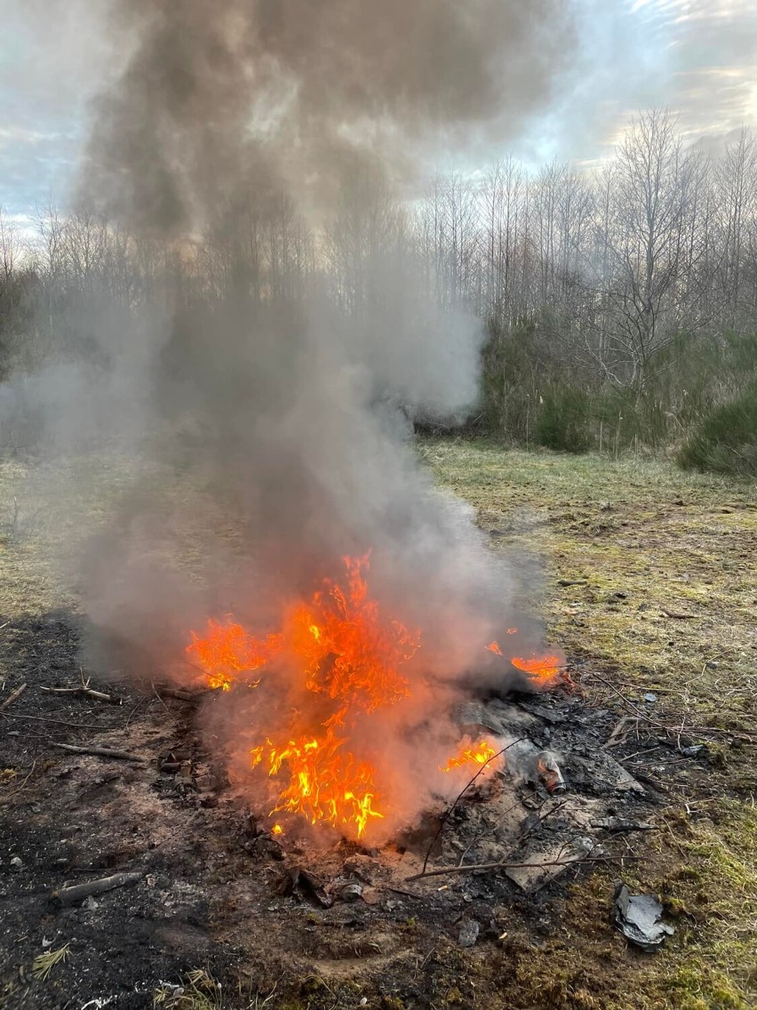 W lesie w Żarnowskiej płonęła wyrzucona do lasu papa. Niewykluczone, że ktoś ją podpalił