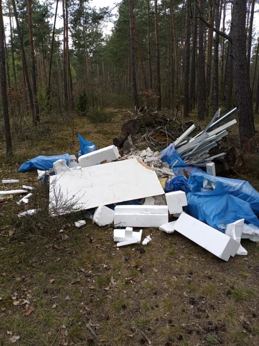 Sołtys Dylowa nie odpuściła. Sprawa porzucenia śmieci w lesie zakończona mandatem[FOTO]