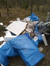Sołtys Dylowa nie odpuściła. Sprawa porzucenia śmieci w lesie zakończona mandatem[FOTO]