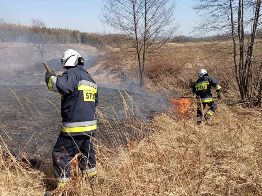 Na kolejnym miejscu w statystyce są jednostki z terenu gminy...