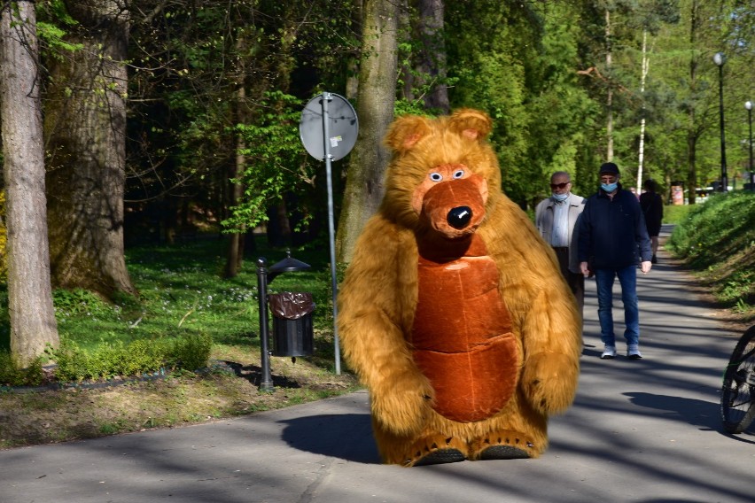 Niedźwiedź prosto z bajki o Maszy zwitał do Parku Miejskiego...