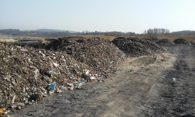 Dzikie wysypisko śmieci zostało uprzątnięte