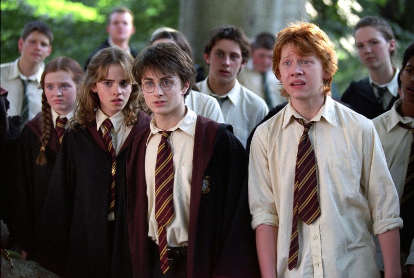 Seriale z uniwersum Harry'ego Pottera. Mamy kilka propozycji dla HBO Max i Warner Bros