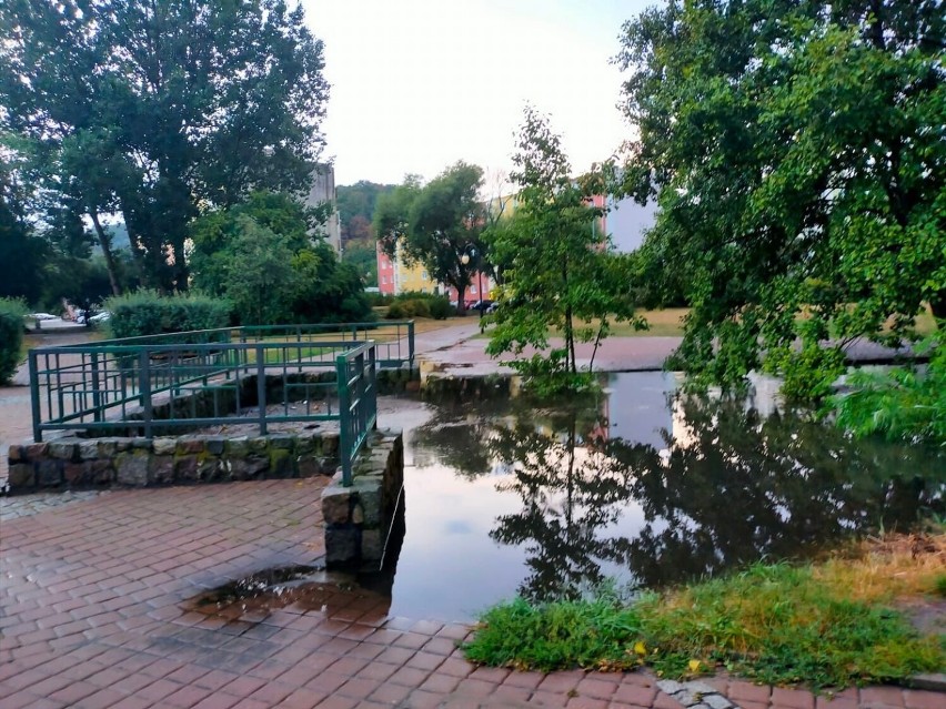 Park Kiloński.