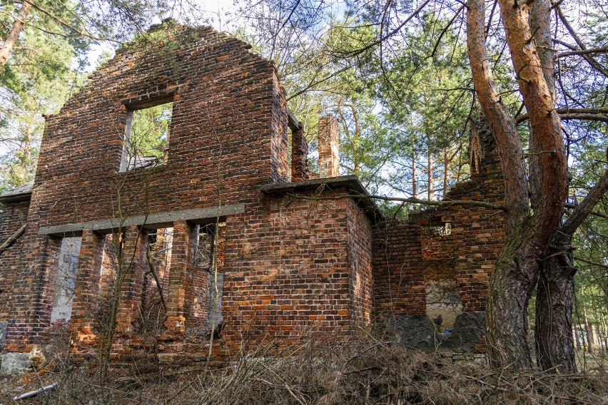 Opuszczone ruiny w powiecie olkuskim