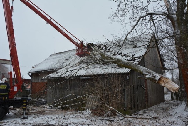 Czarny Dunajec. Drzewo powaliło się na budynek.