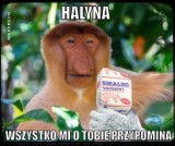 Te memy uwielbiają Polacy. Oto najlepsze memy z Januszem, Halyną i Pioterem. Można się uśmiać 