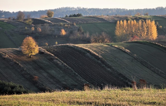 Z remontowanej drogi widać m.in. malownicze pagórki i pola w okolicach miejscowości Sochy oraz Szozdy. Trakt nazywany jest "wrotami Roztocza"