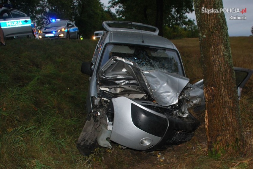 Truskolasy: Samochód wylądował na drzewie [FOTO]