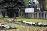 Groby żołnierzy Armii Radzieckiej w Legnicy, jest ich kilkaset [ZDJĘCIA]