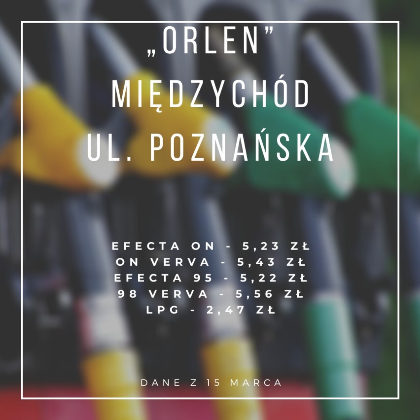 Ceny paliw w powiecie międzychodzkim - sprawdź za ile...