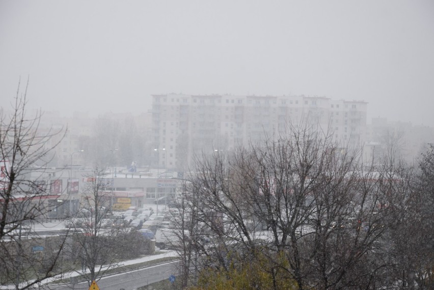 W Kaliszu spadł śnieg. Zobacz, jak wygląda przykryte cienką...