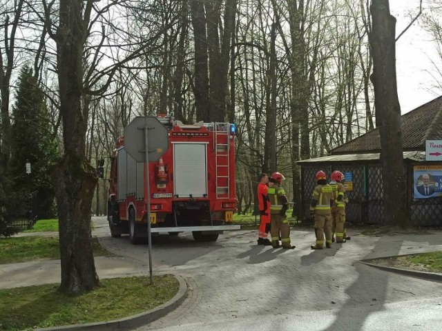 Do wypadku w Rabce-Zdrój doszło 1 kwietnia. Złamane przez wiatr drzewo spowodowało śmierć trzech osób
