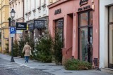 Atak wandala w Bydgoszczy. Chodził i niszczył świąteczne ozdoby [zdjęcia]
