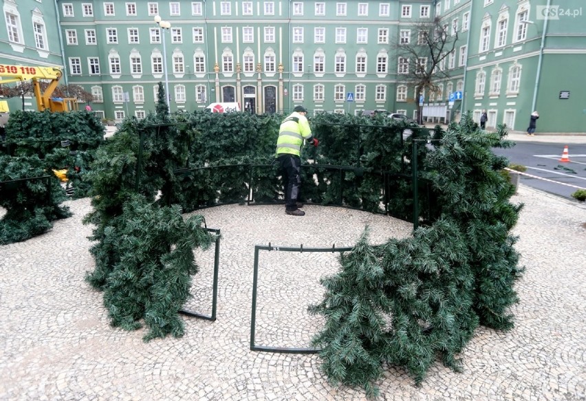 Na świątecznym drzewku rozbłyśnie łącznie ponad 10 tysięcy...