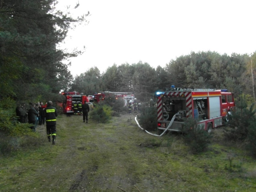 KP PSP Turek: Pozorowany pożar lasu