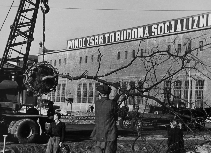 Unikatowe zdjęcia z początku budowy Huty im. Lenina! [ZDJĘCIA]