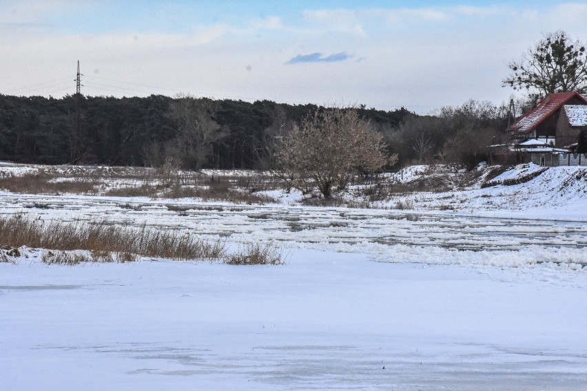 Rzeka Warta w Obrzycku w zimowej odsłonie