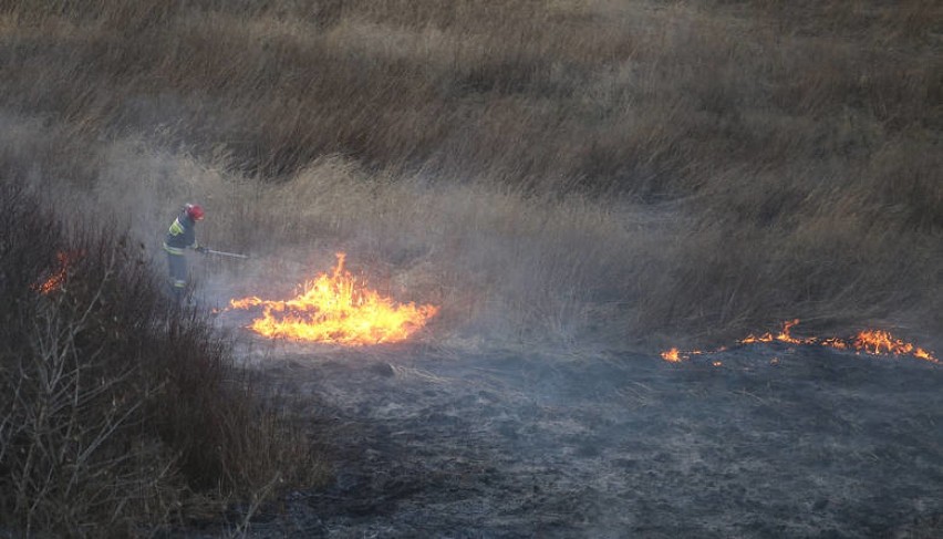 Sosnowiec: pożar traw w Milowicach [ZDJĘCIA, WIDEO]