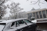 Pierwszy śnieg spadł w Zduńskiej Woli. Zimowy krajobraz w mieście
